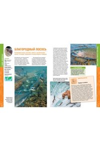 В мире животных. Энциклопедия