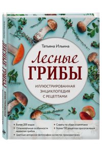 Ильина Т.А. Лесные грибы. Иллюстрированная энциклопедия с рецептами
