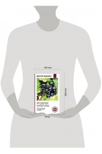 Жвакин В.В. Ягодные культуры. Уход и сбор урожая винограда, малины, смородины