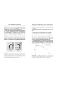 Талеб Н.Н. Антихрупкость. Как извлечь выгоду из хаоса