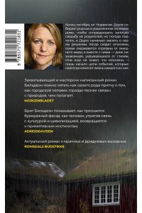 Бильдёэн Б. Желтый уровень опасности