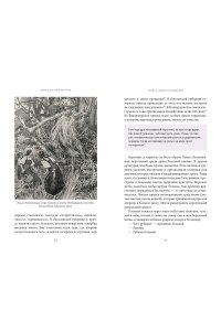 Нелихов А. Духи болезней на Руси. Сестры-лихорадки, матушка Оспа и жук в ботиночках