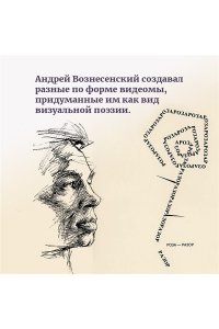 Вознесенский А., Богуславская Мы писали историю. Несимметричное время. (в суперобложке)