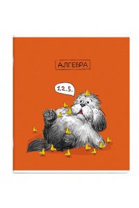 ТЕТР ПРЕДМЕТ ПЁС УЧЁНЫЙ АЛГЕБРА 48 КЛЕТ ФЕНИКС+ 63404