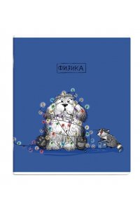 ТЕТР ПРЕДМЕТ ПЁС УЧЁНЫЙ ФИЗИКА 48 КЛЕТ ФЕНИКС+ 63406