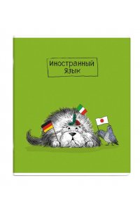 ТЕТР ПРЕДМЕТ ПЁС УЧЁНЫЙ ИНОСТРАНН ЯЗ 48 КЛЕТ ФЕНИКС+ 63413