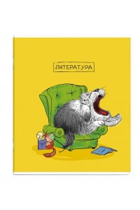 ТЕТР ПРЕДМЕТ ПЁС УЧЁНЫЙ ЛИТЕРАТУРА 48 ЛИН ФЕНИКС+ 63416