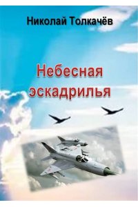 НЕБЕСНАЯ ЭСКАДРИЛИЯ ТОЛКАЧЕВ МЯГ ВОРОНЕЖ