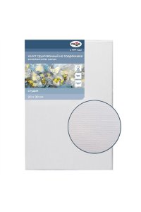 ХОЛСТ НА ПОДРАМНИКЕ ГАММА 