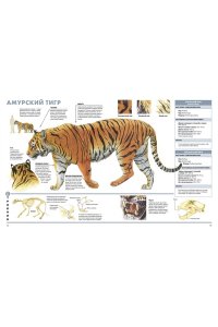 Животные. Визуальная энциклопедия
