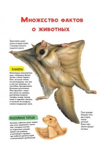 Агоста Л. Животные