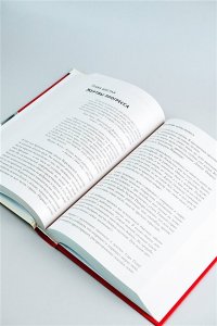 Аджемоглу Д., Джонсон С. Власть и прогресс