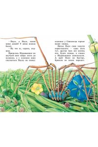 Бианки В. Как Муравьишка домой спешил