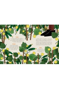 Кишмария Е.Т. Деревня. История и быт в картинках