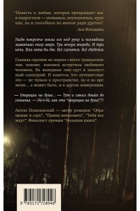 Понизовский А.В. Душа имеет форму уха