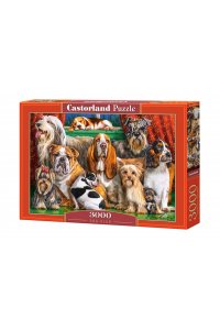 ПАЗЛЫ 3000 CASTORLAND ДРУЗЬЯ ЧЕЛОВЕКА С-300501