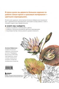 Небренчина А. Большая книга цветных карандашей. Полное руководство по работе с нуля