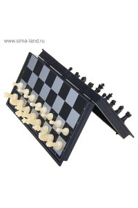 НАСТ ИГРА ШАХМАТЫ (МАГНИТНАЯ ДОСКА 32*32СМ) СИМА-ЛЕНД АРТ.551982
