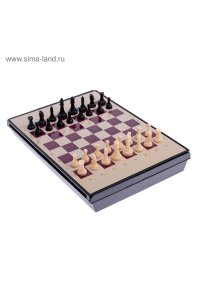 НАСТ ИГРА ШАХМАТЫ С ЯЩИКОМ (МАГНИТНАЯ ДОСКА 24*18СМ) СИМА-ЛЕНД АРТ.578803