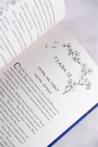 Цинь Дао Песнь предсказателя Небес