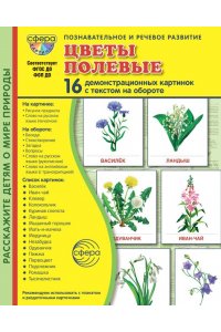 Цветкова Т.В. Дем. картинки СУПЕР Цветы полевые. 16 демонстрационных картинок с текстом В ПАПКЕ (173х220 мм)