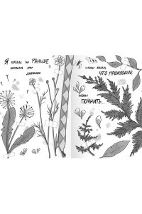 Заугольная О. Подкроватье