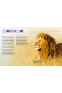 Зардин Ф. Огромная энциклопедия животных мира