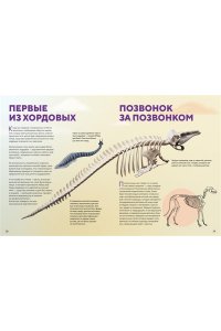 Зардин Ф. Огромная энциклопедия животных мира