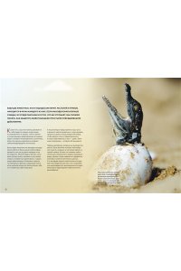 Зардин Ф. Огромная энциклопедия животных мира
