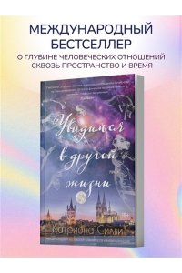 Силви К. Увидимся в другой жизни