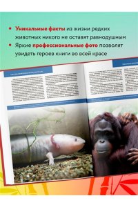 Скалдина О.В. КРАСНАЯ КНИГА ЗЕМЛИ