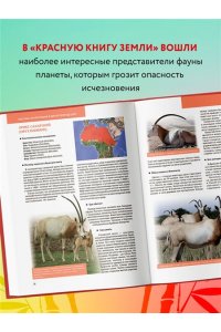 Скалдина О.В. КРАСНАЯ КНИГА ЗЕМЛИ