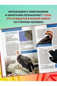 Скалдина О.В. КРАСНАЯ КНИГА ЗЕМЛИ