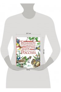Волцит П.М. Большой определитель зверей амфибий рептилий птиц насекомых и растений России