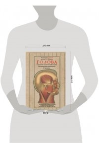 Шмидт Э., Розенберг Д. Голова. Строение человеческой головы и отправления важнейших её органов
