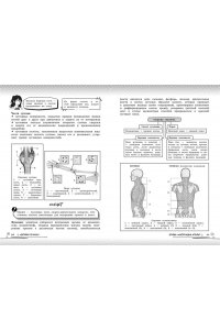 Мазур О.Ч. Биология: прокачай свой уровень на максимум