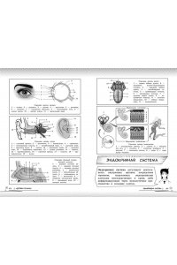 Мазур О.Ч. Биология: прокачай свой уровень на максимум