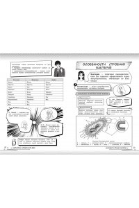 Мазур О.Ч. Биология: прокачай свой уровень на максимум