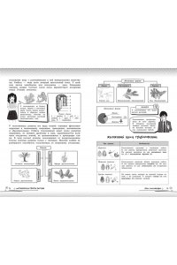 Мазур О.Ч. Биология: прокачай свой уровень на максимум