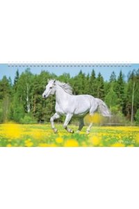 К-РЬ НАСТ 2026 КВАРТ ГОД ЛОШАДИ СПИРАЛЬ ТРЕХБЛ(4ГР)(12 ПОСТЕРОВ)ХАТБЕР АРТ.3КВ4ГР2Ц_34372 (5473)