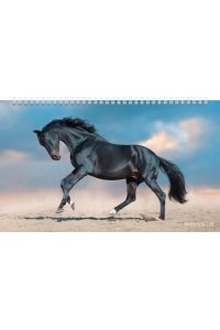 К-РЬ НАСТ 2026 КВАРТ ГОД ЛОШАДИ СПИРАЛЬ ТРЕХБЛ(4ГР)(12 ПОСТЕРОВ)ХАТБЕР АРТ.3КВ4ГР2Ц_34372 (5473)