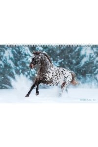 К-РЬ НАСТ 2026 КВАРТ ГОД ЛОШАДИ СПИРАЛЬ ТРЕХБЛ(4ГР)(12 ПОСТЕРОВ)ХАТБЕР АРТ.3КВ4ГР2Ц_34372 (5473)