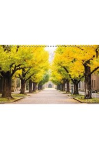 К-РЬ НАСТ 2026 КВАРТ ПРЕКРАСНЫЕ ПАРКИ СПИРАЛЬ ТРЕХБЛ(4ГР)(12 ПОСТЕР)ХАТБЕР АРТ.3КВ4ГР2Ц_34433 (5480)