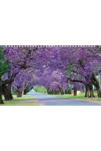 К-РЬ НАСТ 2026 КВАРТ ПРЕКРАСНЫЕ ПАРКИ СПИРАЛЬ ТРЕХБЛ(4ГР)(12 ПОСТЕР)ХАТБЕР АРТ.3КВ4ГР2Ц_34433 (5480)