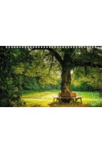 К-РЬ НАСТ 2026 КВАРТ ПРЕКРАСНЫЕ ПАРКИ СПИРАЛЬ ТРЕХБЛ(4ГР)(12 ПОСТЕР)ХАТБЕР АРТ.3КВ4ГР2Ц_34433 (5480)