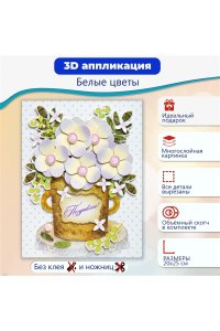 НАБОР Д/АППЛИКАЦИИ 3Д БЕЛЫЕ ЦВЕТЫ (6+) ДРОФА АРТ.4200