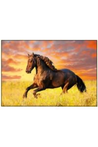 К-РЬ НАСТ 2026 КВАРТ ГОД ЛОШАДИ. В ЛУЧАХ ЗАКАТНОГО СОЛНЦ А4 СПИРАЛЬ ТРЕХБЛОЧН ДЕНЬ ЗА ДНЕМ АРТ.14604