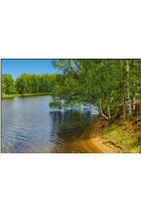 К-РЬ НАСТ 2026 КВАРТ БЕРЕЗЫ У ВОДЫ А4 СПИРАЛЬ ТРЕХБЛОЧН ДЕНЬ ЗА ДНЕМ АРТ.14640