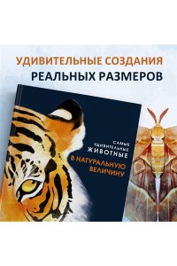 Скьяво Р. Самые удивительные животные в натуральную величину