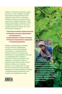 Большая иллюстрированная энциклопедия лекарственных растений